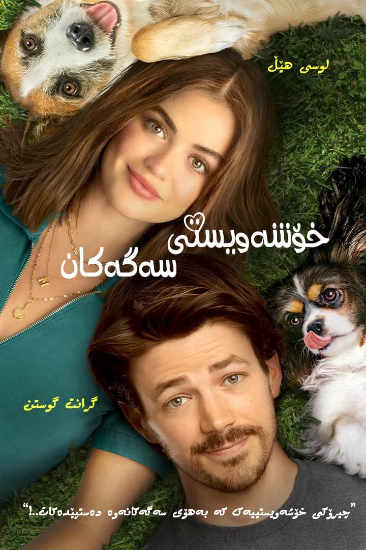 خۆشەویستی سەگەکان