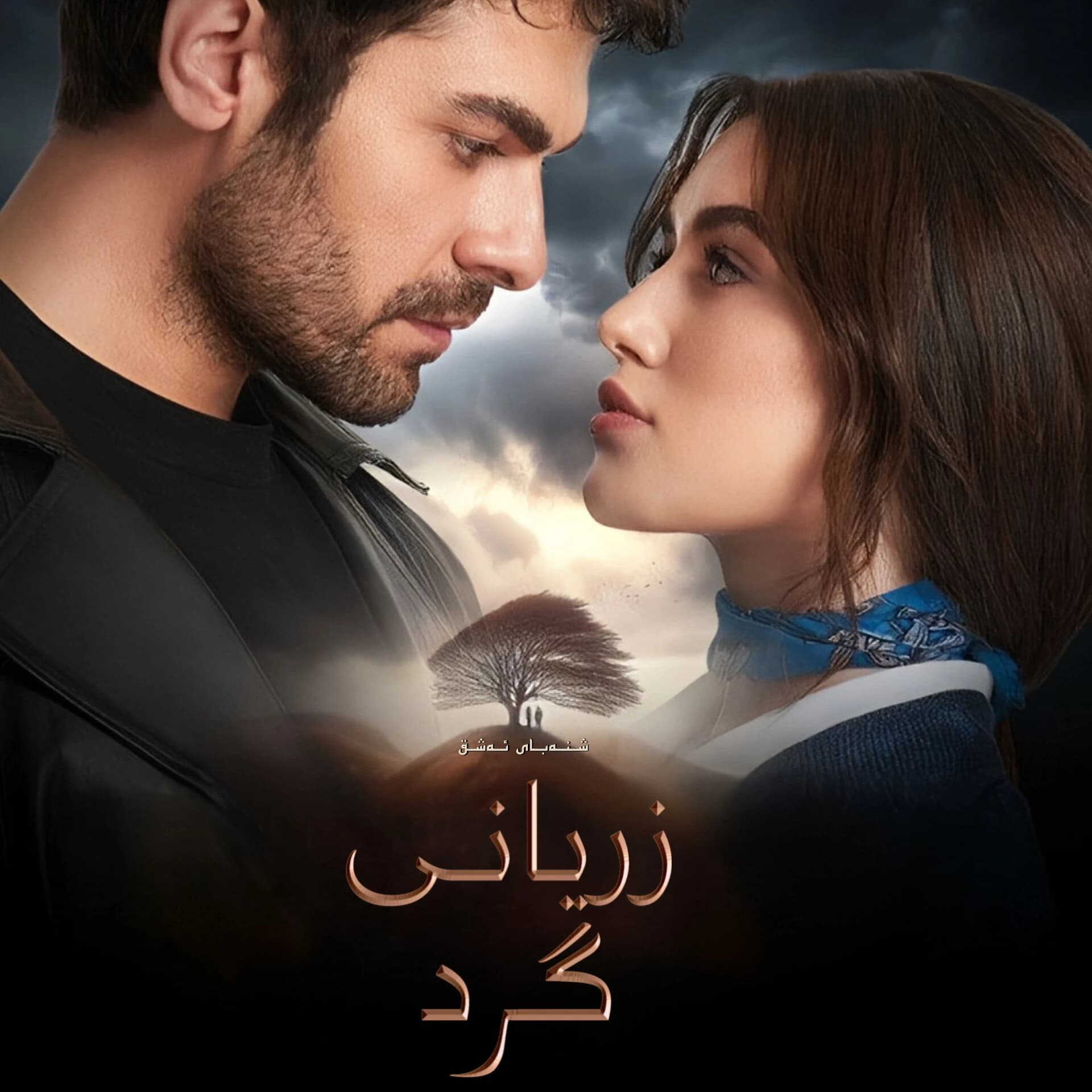 زریانی گرد